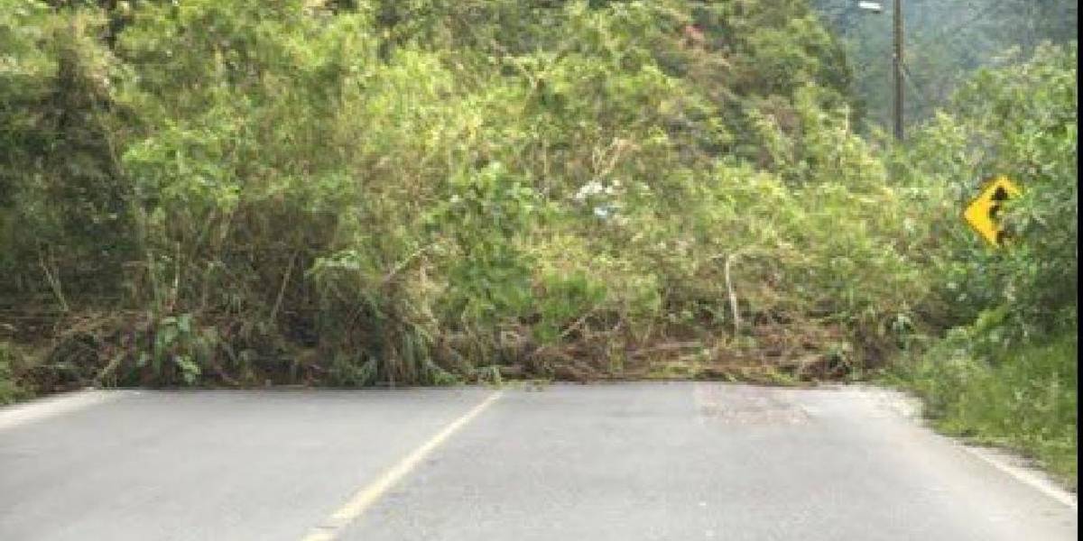 Napo: un deslizamiento de tierra, en la vía Baeza-Papallacta, cerró parcialmente la ruta en el sector de San Fermín