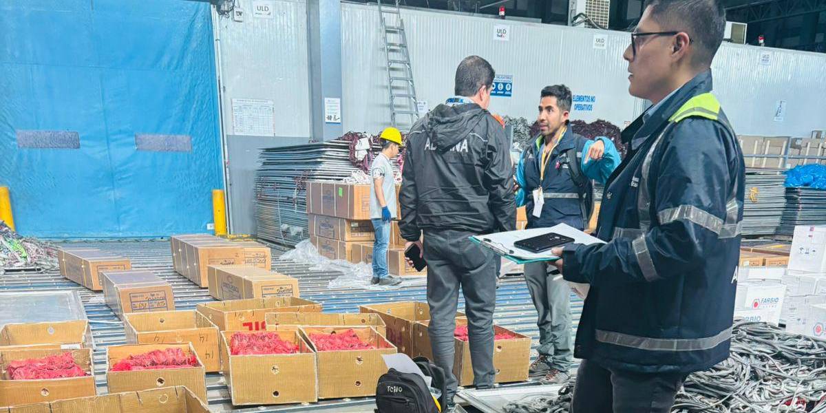 Intentaron enviar 2 460 cangrejos vivos desde Quito a Nueva York