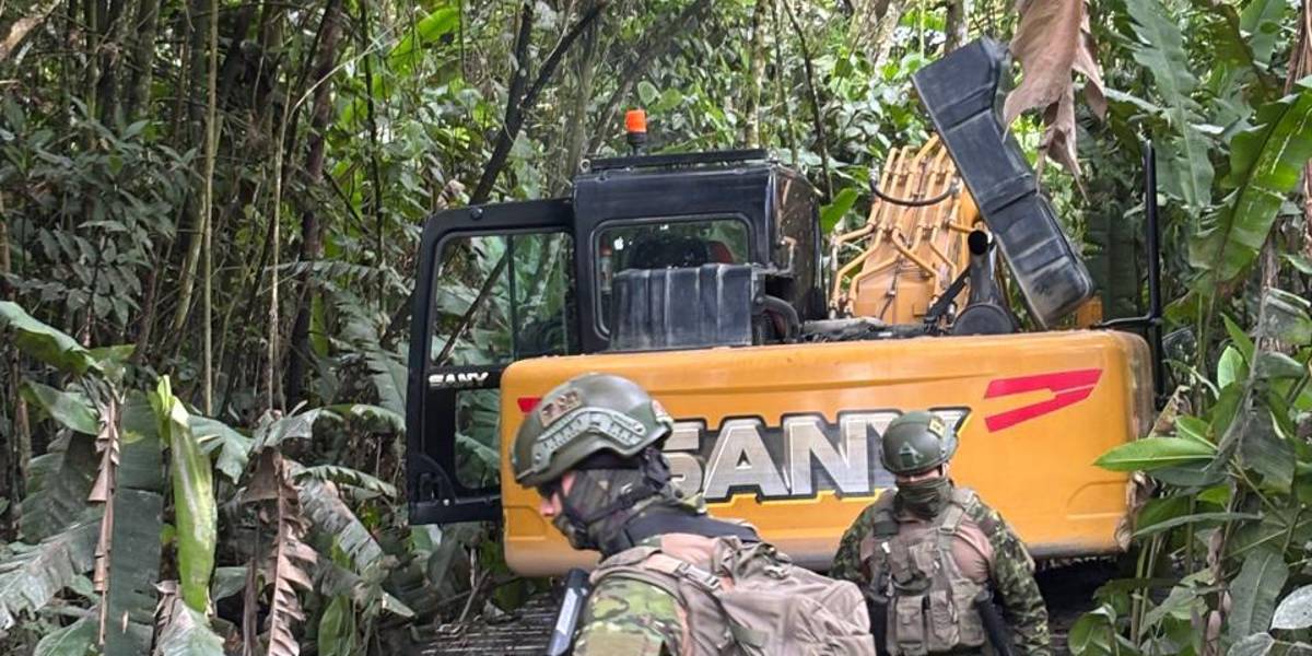 Napo registra 1 700 hectáreas deforestadas por la minería desde 2017