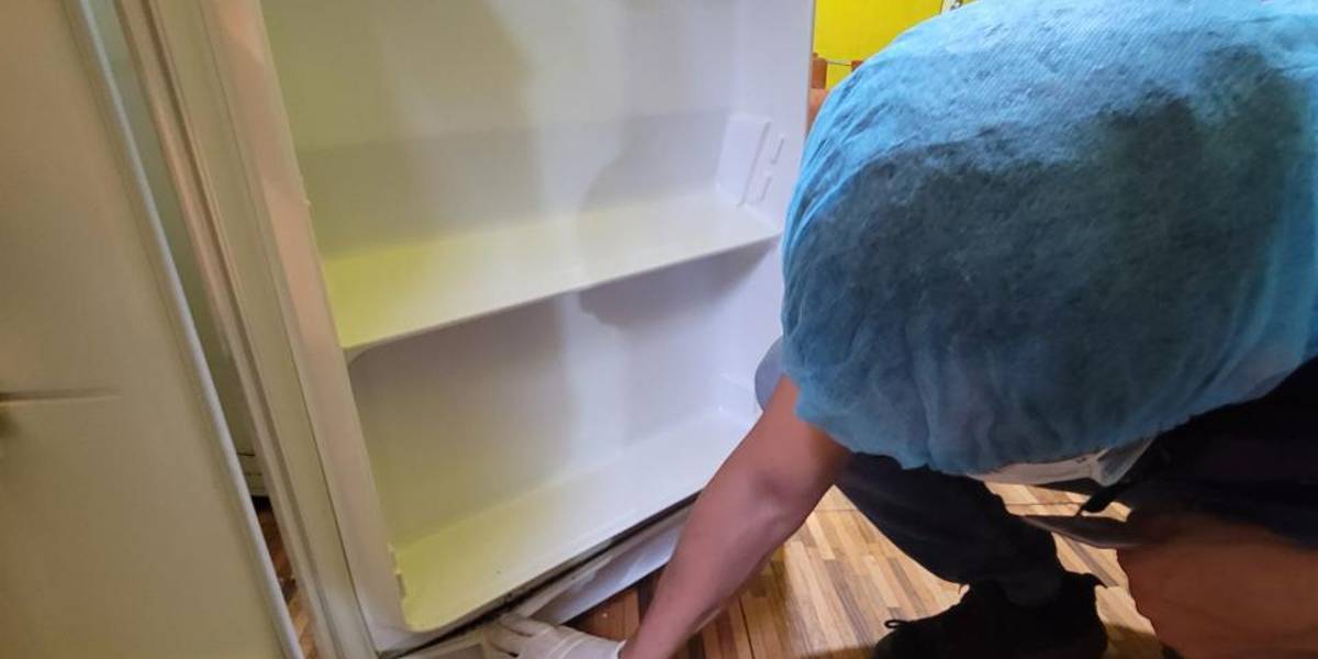 Una picantería fue clausurada en Ibarra por alta presencia de plagas y suciedad