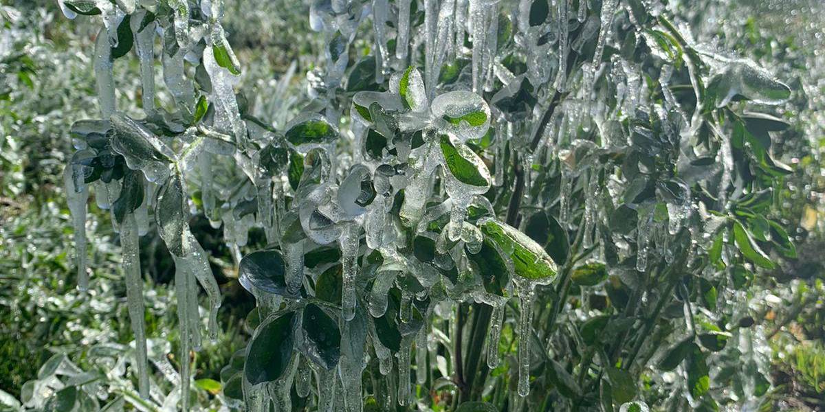 Esta semana se presentarán noches y madrugadas con temperaturas bajas