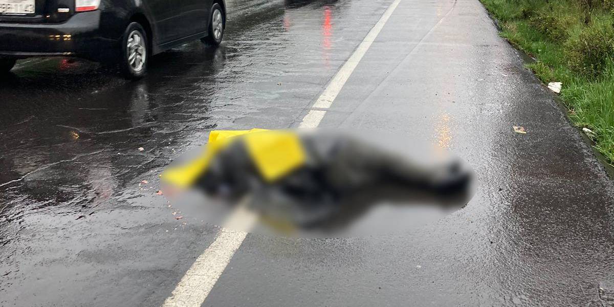 Quito: una persona muere atropellada en la av. Simón Bolívar