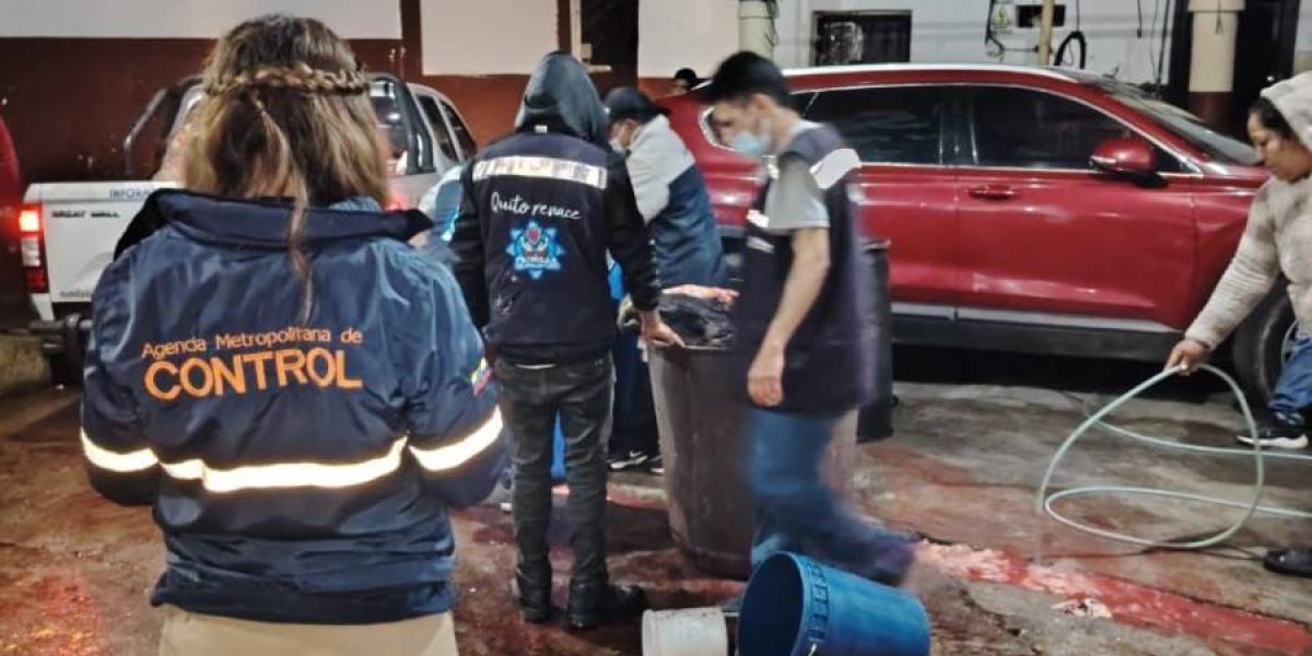 Quito | Un camal clandestino que funcionaba en el patio trasero de una casa fue clausurado