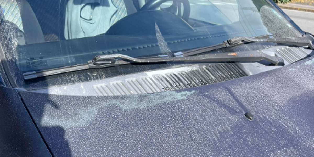 Volcán Reventador: cae ceniza en la provincia de Napo