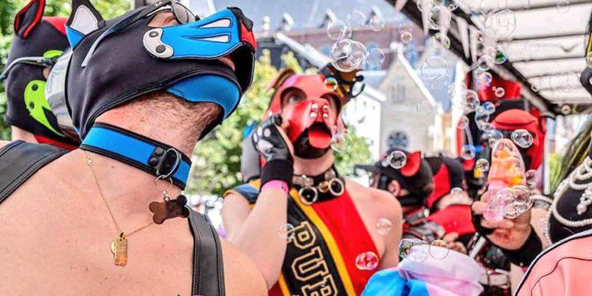 Bélgica: Cientos de personas que asumen un rol de perros sumisos participaron en la Puppy Walk