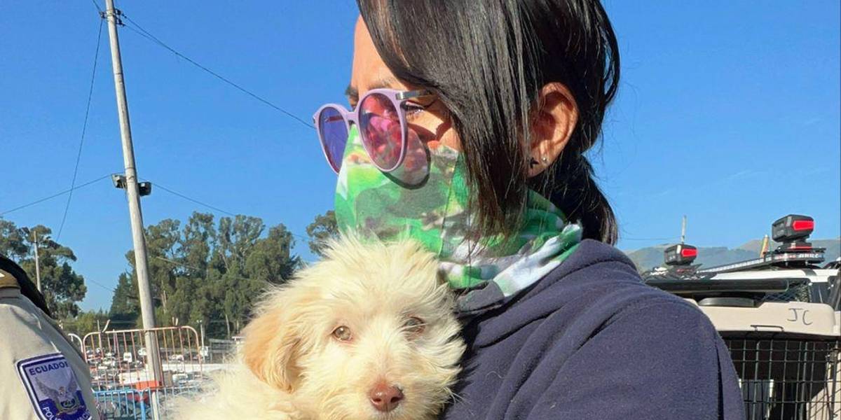 La UBA rescató a perros y gatos que estaban encerrados en costales y expuestos al sol, en Chillogallo