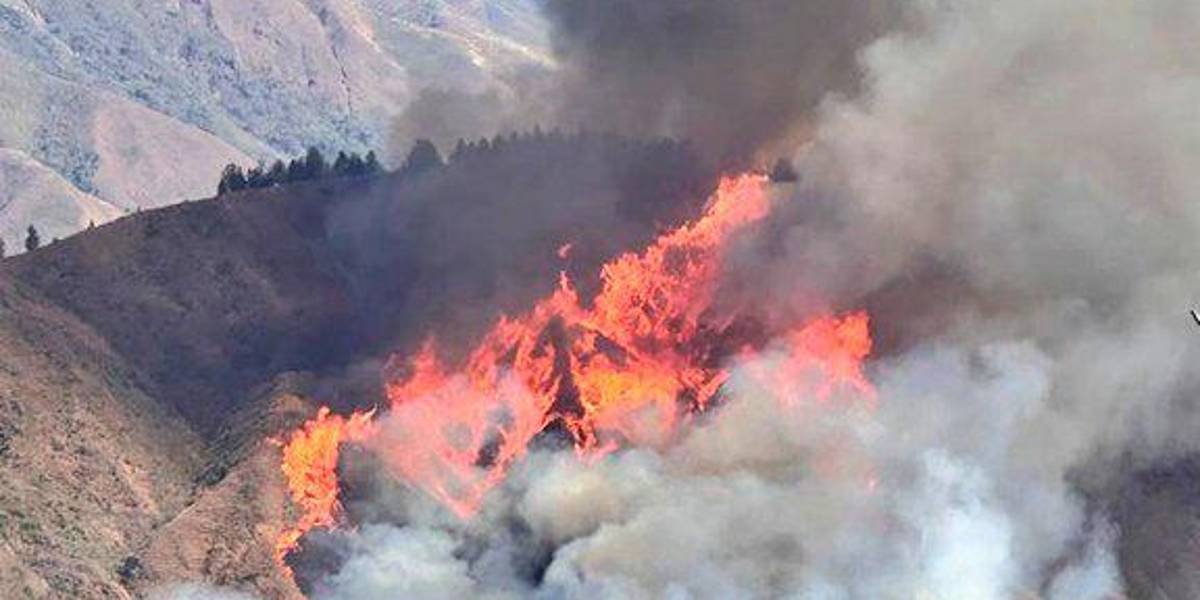 Loja: un incendio forestal de grandes proporciones ha destruido 345 hectáreas
