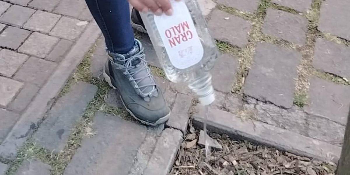 El consumo de licor fue masivo en las últimas Fiestas de Quito