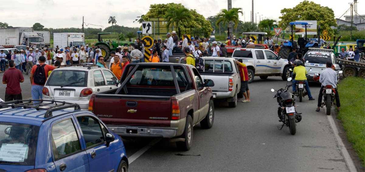 Nueva manifestación de agricultores: Cierran vías en Guayas y Los Ríos por precio del arroz