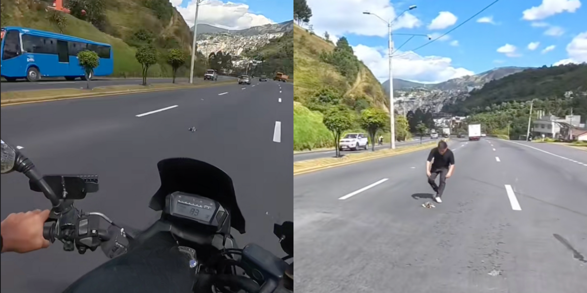 Lo que se sabe del gato cachorro rescatado en la autopista General Rumiñahui