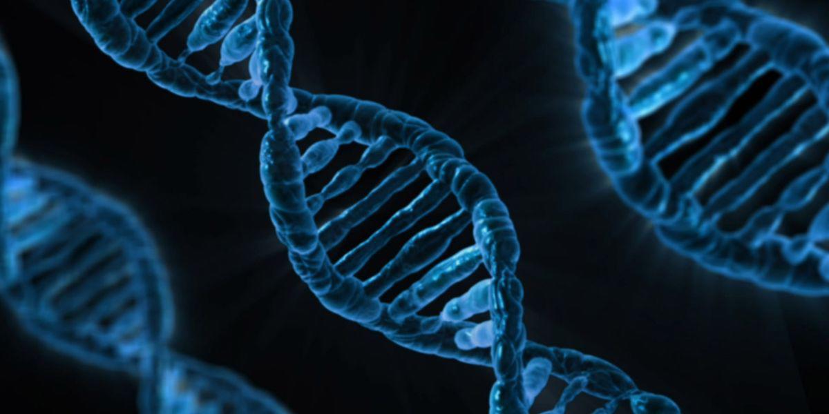 Día Mundial del ADN y su impacto en la ciencia y la sociedad