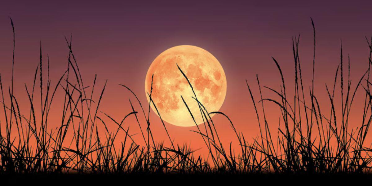 Superluna de la Cosecha: ¿Cuántos días faltan para el evento astronómico de septiembre?