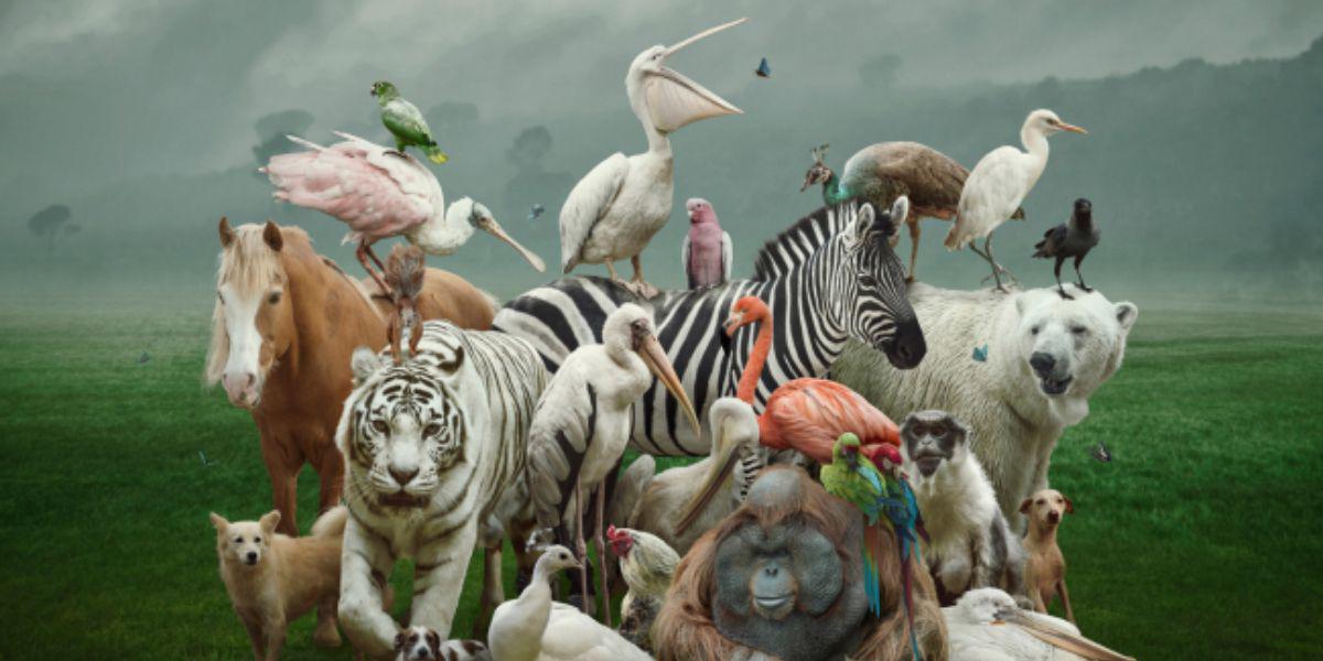 Te sorprenderá saber cuál es el animal más inteligente del mundo, según la IA, y no es el delfín