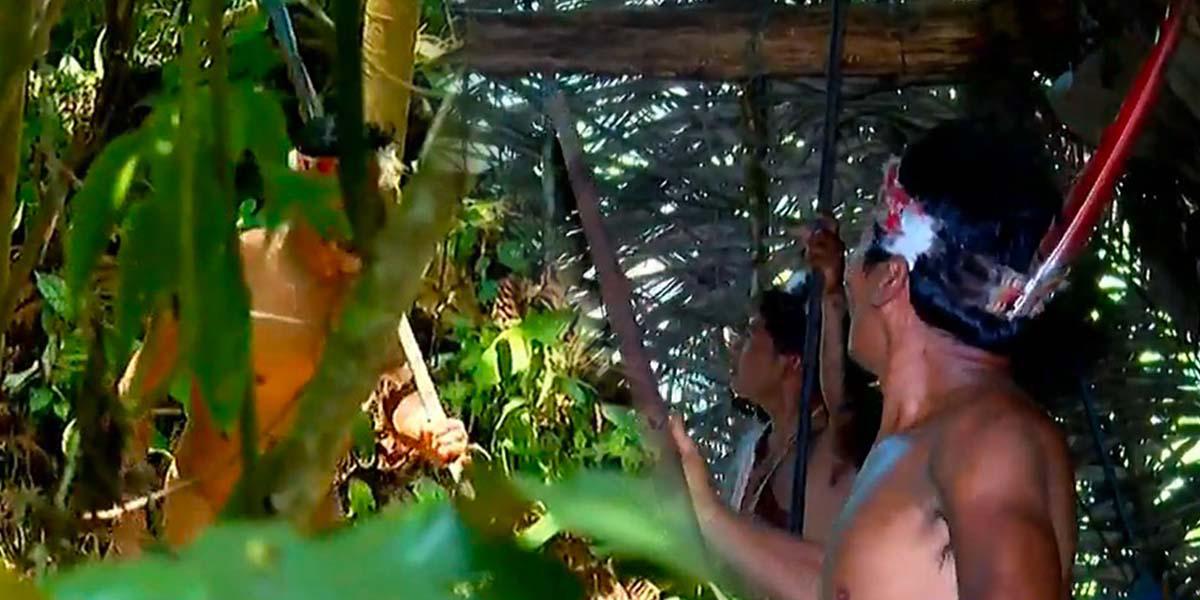 ¿Cómo viven los waoranis, la cuarta nacionalidad indígena en la Amazonía?