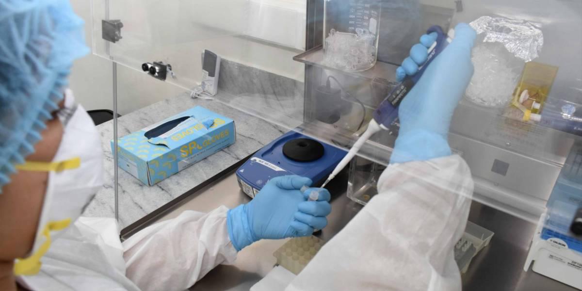 Investigadores chinos estarían experimentando con una cepa mutante de coronavirus en ratones
