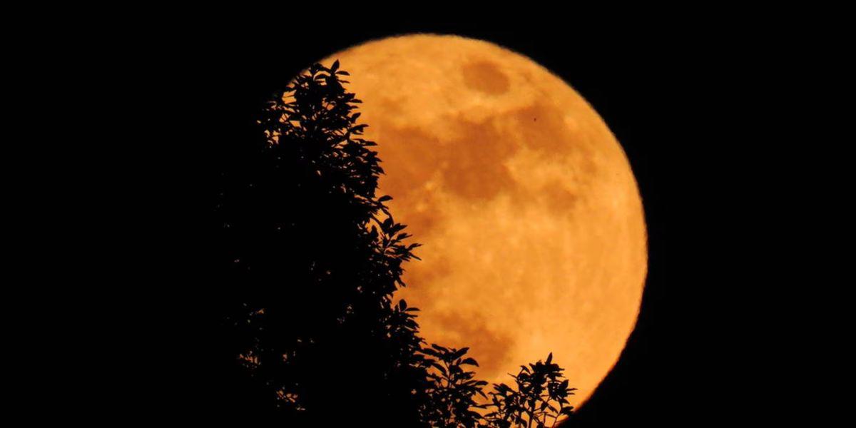 Superluna de la Cosecha: ¿Cuántos días faltan para el evento astronómico de septiembre?