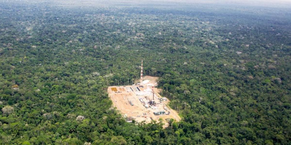 Elecciones Ecuador 2023: en el Yasuní, las plataformas petroleras operan en 80  hectáreas dentro del bloque 43