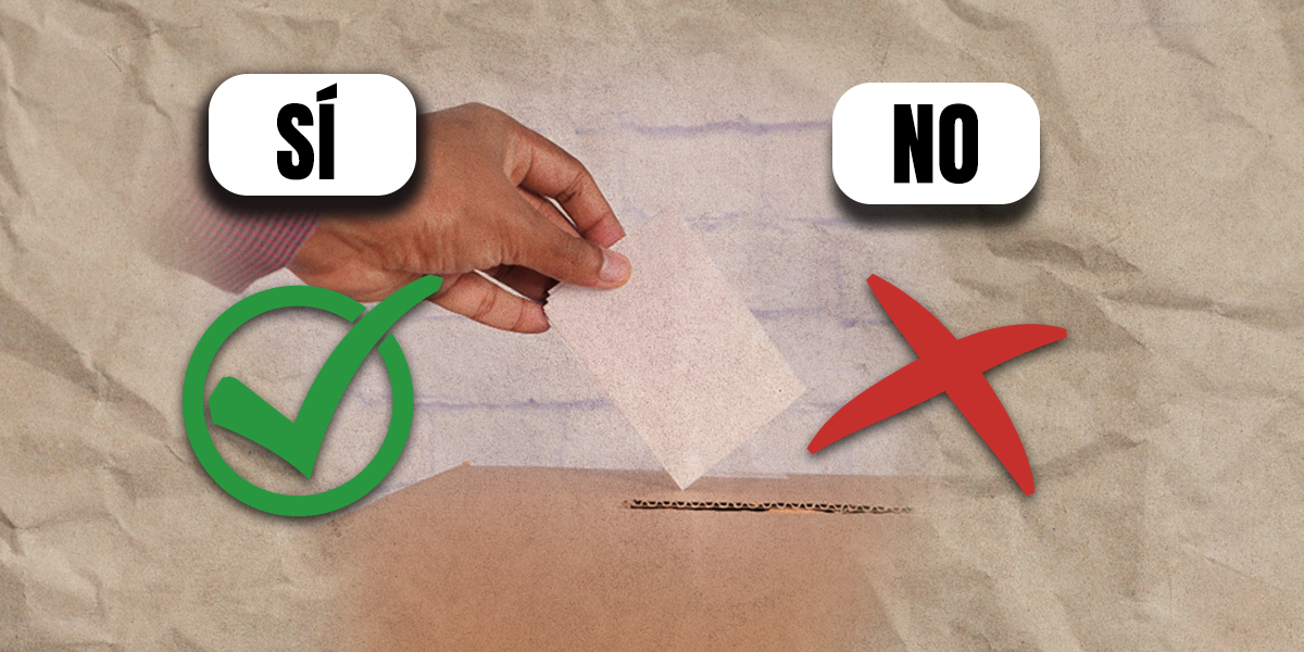 Consulta popular: oficialismo y oposición argumentan a favor del 'Sí' y el 'No'