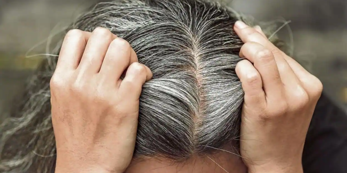 ¿Qué se le puede poner al shampoo para ocultar las canas?
