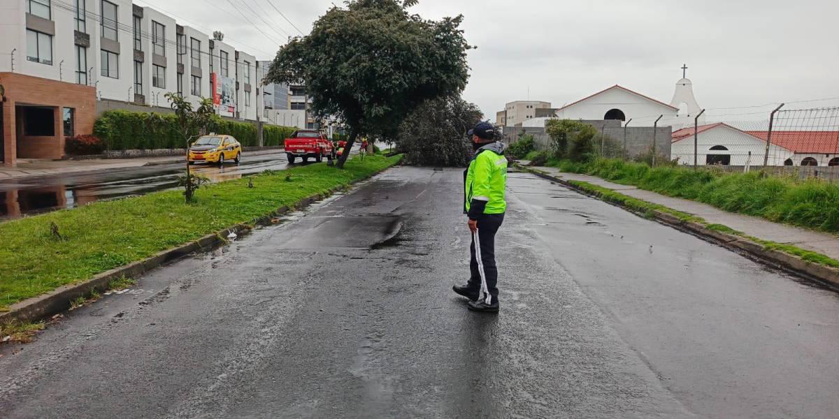 Pico y placa en Quito: las restricciones de movilidad para este miércoles 4 de junio