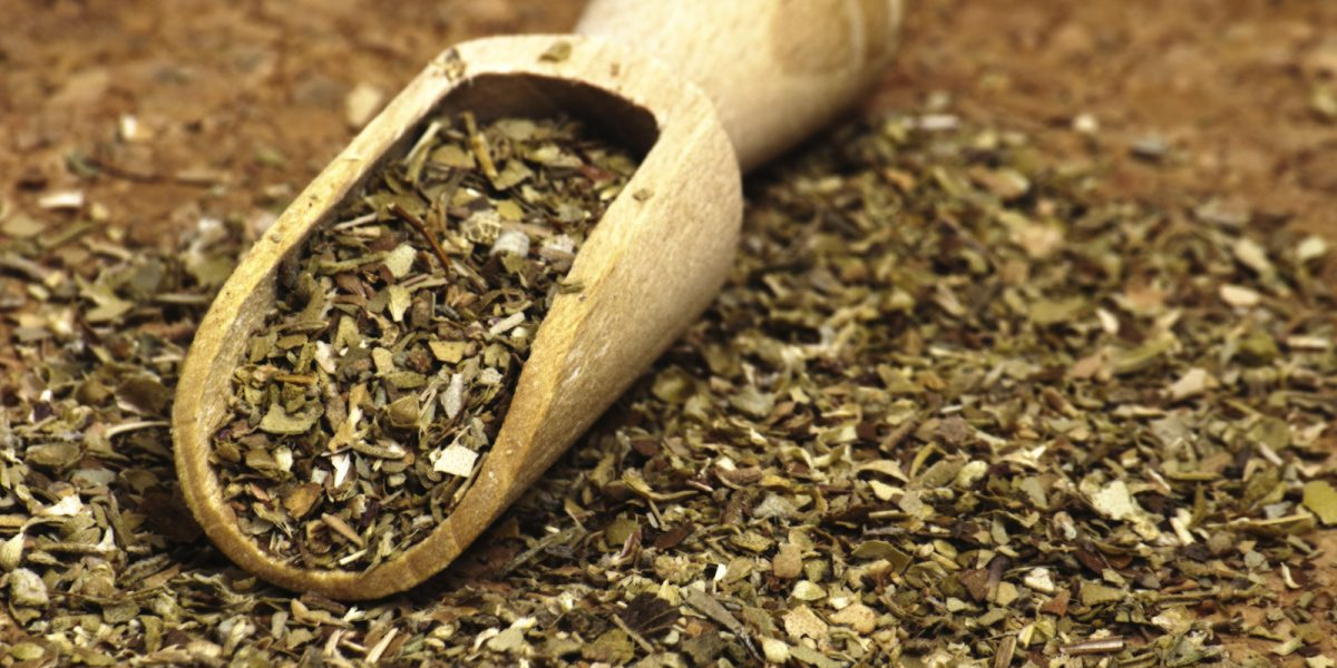 ¿Presión arterial alta?: así debes de tomar el orégano para disminuirla