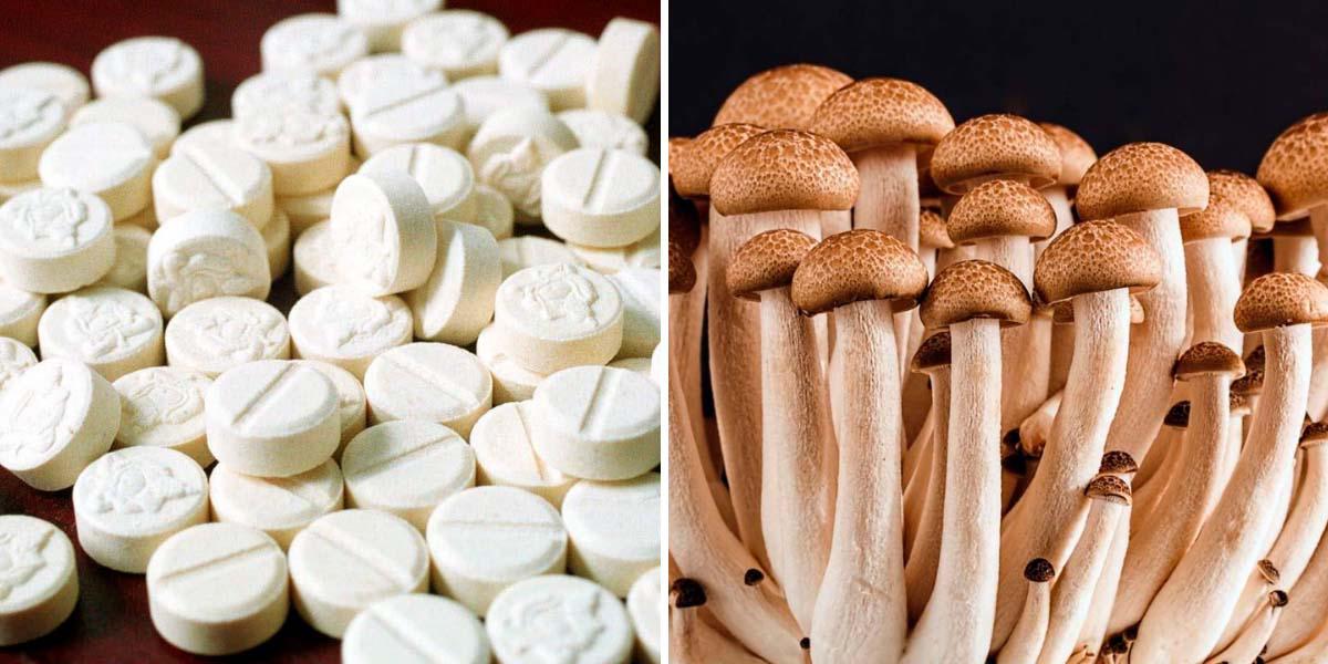 Australia aprueba el uso de éxtasis y hongos alucinógenos para tratar enfermedades mentales