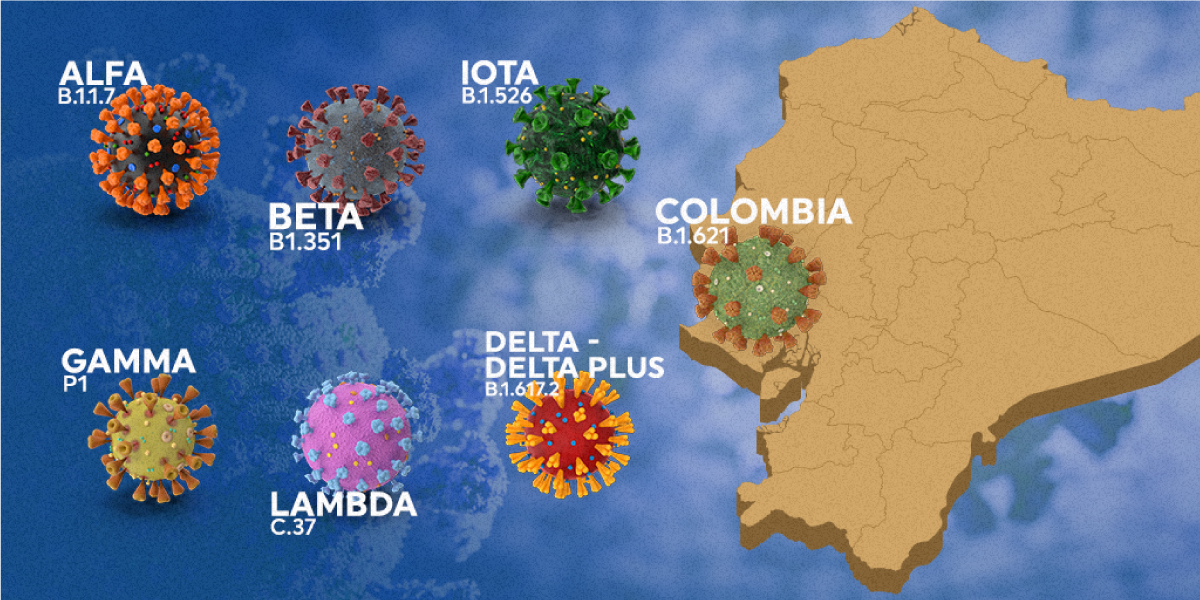 6 variantes predominan en Ecuador; hay una alerta por mutación de Colombia