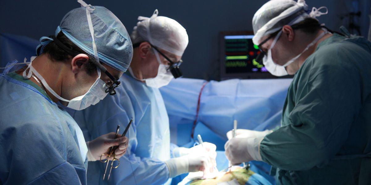 El primer paciente con trasplante de un riñón de cerdo recibe el alta en Boston