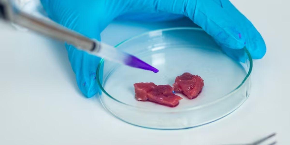 ¿Qué es la salmonelosis?: causas y síntomas