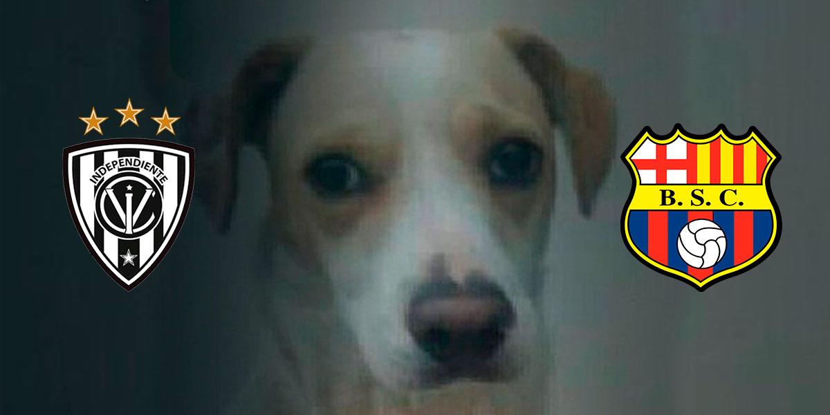 Liga Pro: El CM de Independiente del Valle pidió disculpas a Barcelona, ¿por qué?