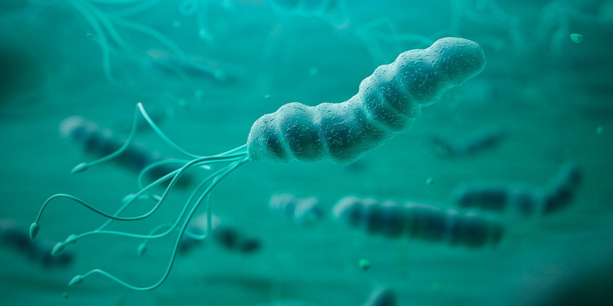 ¿Dolor de estómago constante? Podría ser esta bacteria peligrosa que afecta a los ecuatorianos