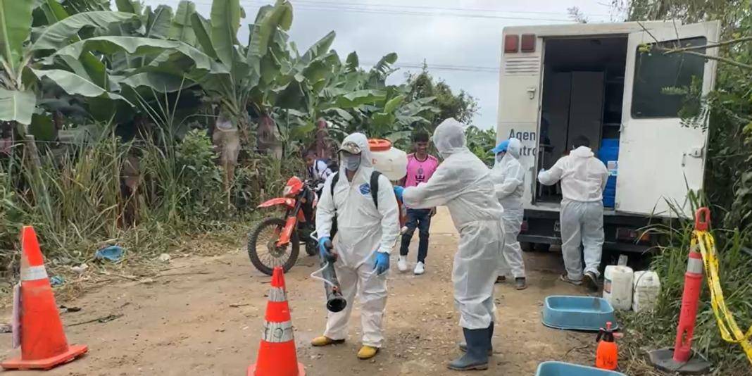 Agrocalidad investiga primer caso sospechoso de Fusarium en Ecuador