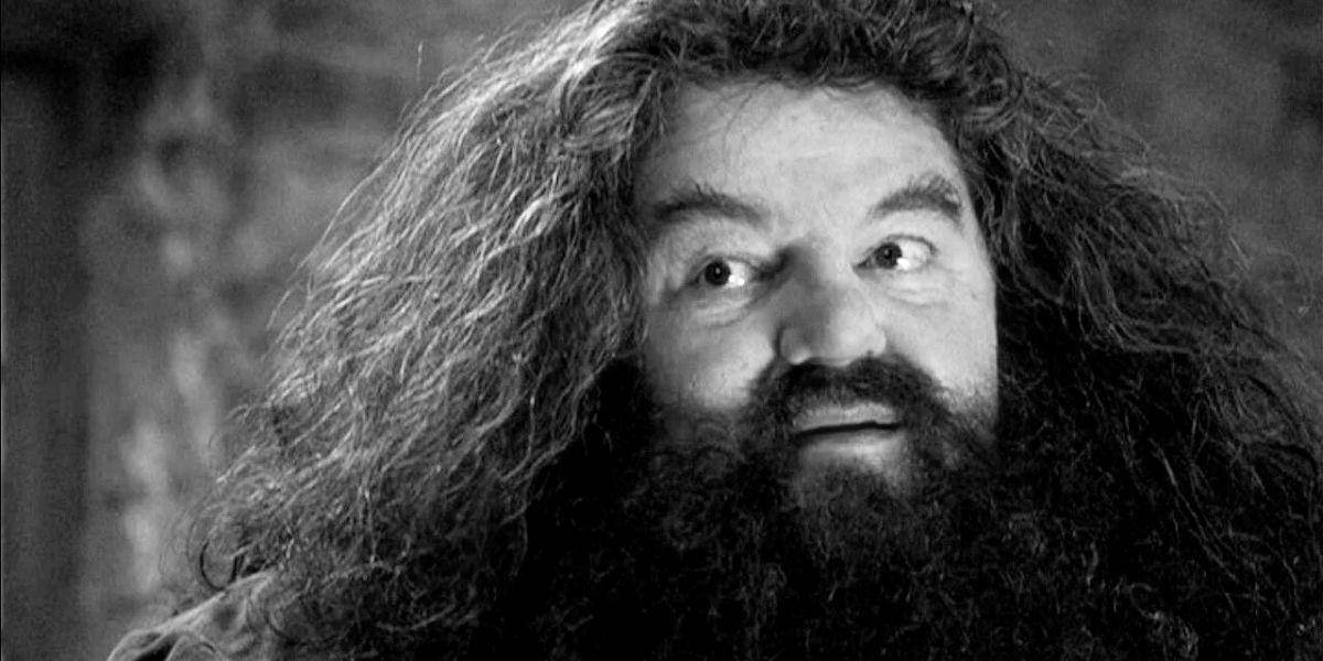 Relevan las causas de muerte del actor Robbie Coltrane, 'Hagrid' de Harry Potter; estos son los reportes oficiales