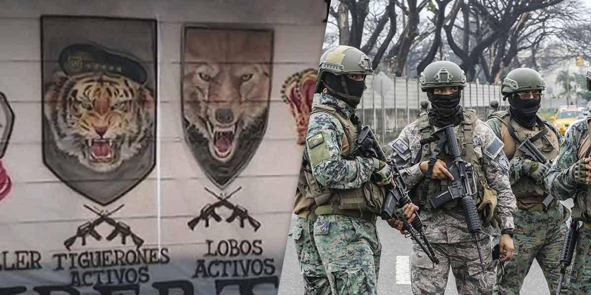 El mapa de bandas terroristas en Ecuador: Los Lobos desplazan territorialmente a Los Choneros