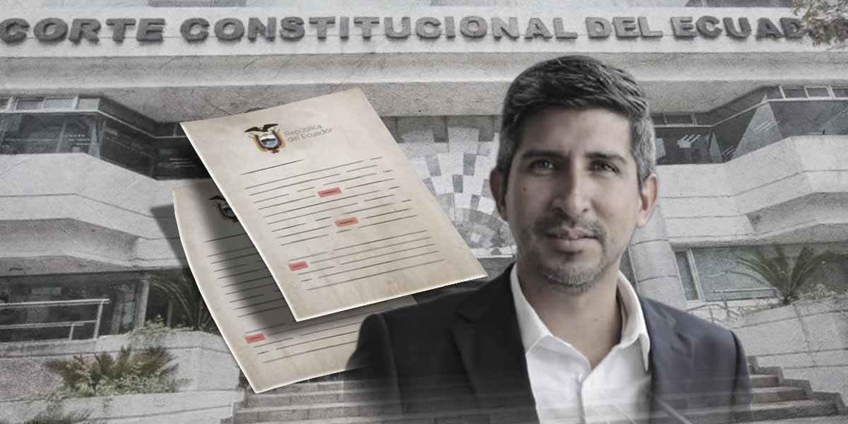 “Nos parece curioso y preocupante la demora de la CC”, afirma Francisco Briones, director del SRI, sobre decretos-ley de Lasso