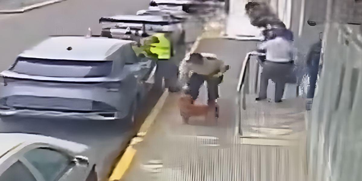 Quevedo: la Policía abre investigación a uniformado por arrojar gas pimienta a un perro