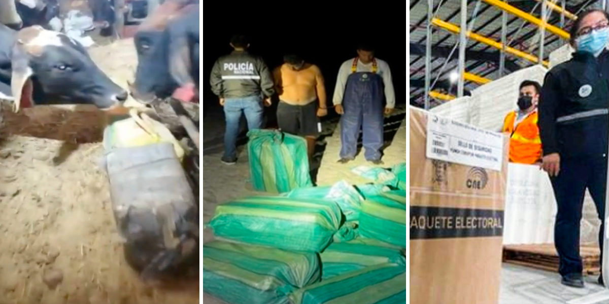 3 Noticias del día | Caso Narcovacas ¿cómo camuflaron la droga y cuántos ecuatorianos fueron detenidos?