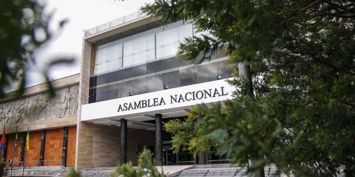 CNE proclama resultados oficiales para asambleístas nacionales y parlamentarios andinos