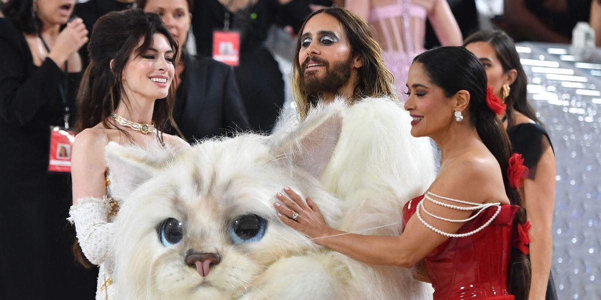 Momentos virales que no te puedes perder del MET Gala 2023: un insecto desfiló con los famosos