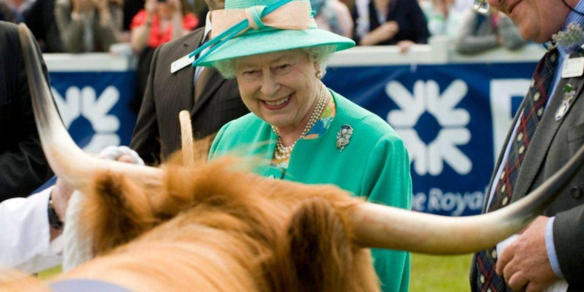 El viral video de la reina Isabel II que delató su amor por las vacas