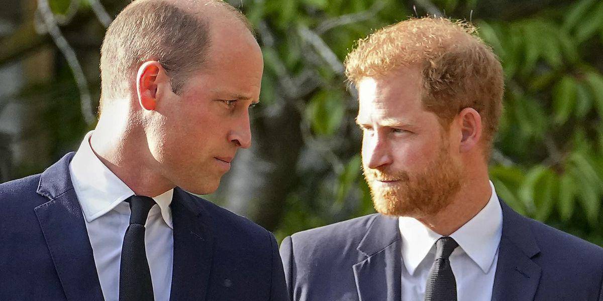 El príncipe William y su hermano Harry no pueden ni verse, un evento de la princesa Diana los pone en evidencia