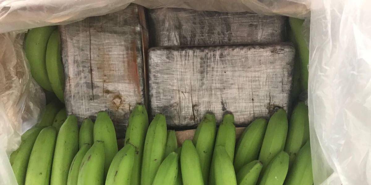 Rusia incauta 60 kilos de cocaína en un barco con bananos procedente de Ecuador