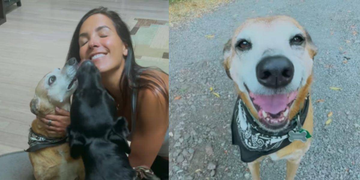 María Teresa Guerrero y el emotivo reencuentro con sus perritos, Pinchi y Hugo, en Estados Unidos