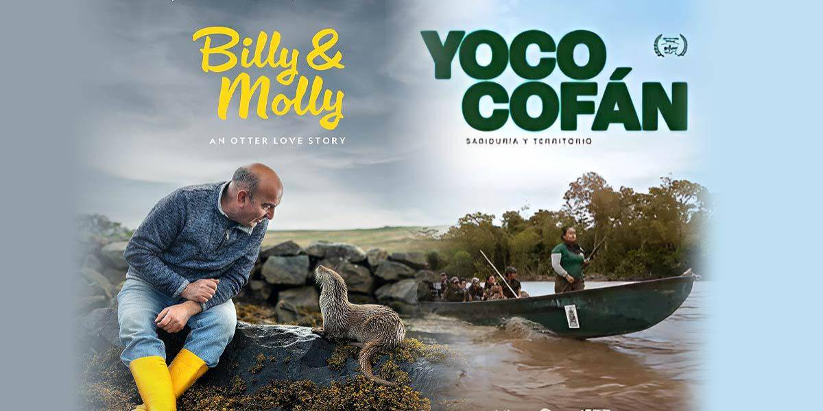 Películas ambientales de Ecuador, Reino Unido y Brasil ganan festival ECOador