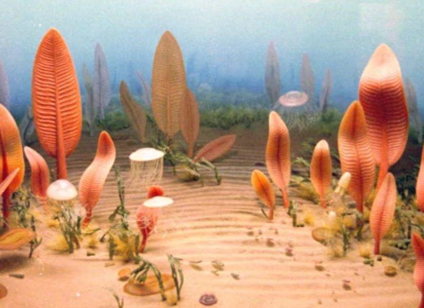 Imagen referencial a la vida que habitaba el planeta en la era Ediacárico, la misma que llegó a su fin hace aproximadamente 550 millones de años.