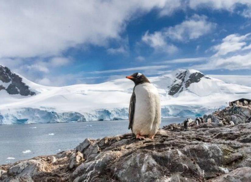 Imagen referencial a la Antártida, continente que registra bajos niveles de hielo, los cuales estás preocupando a la comunidad científica de todo el mundo.