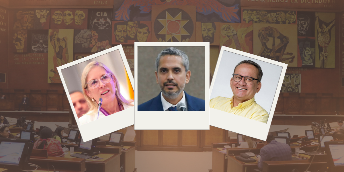 La edad promedio de la próxima Asamblea es de 42 años y la mayoría de legisladores electos son hombres