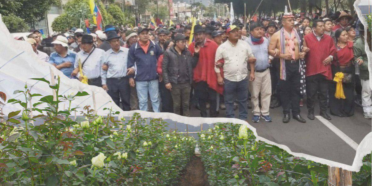 El sector productivo toma precauciones ante las marchas del lunes 13 de junio