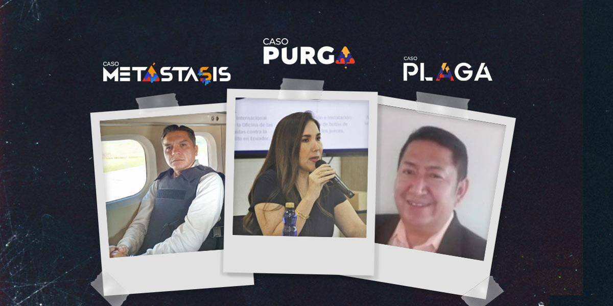 Casos Plaga, Metástasis y Purga: la crisis del sistema judicial