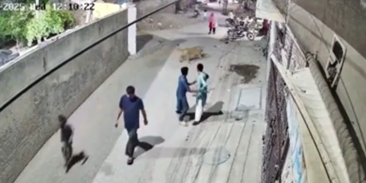 Pakistán: Una madre y sus hijos sufrieron el ataque de un león mascota en Lahore